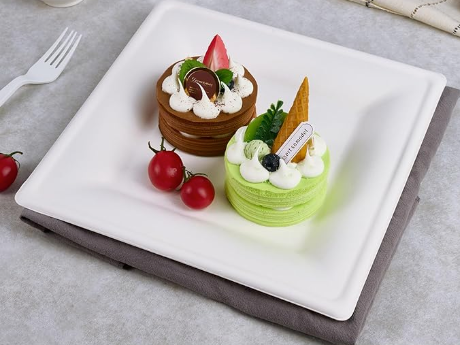 Ecox Compostable 10" x 10" Square Plate - 500/Case