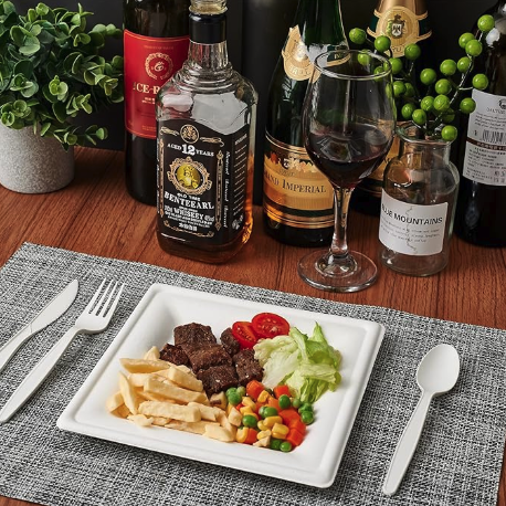 Ecox Compostable 10" x 10" Square Plate - 500/Case