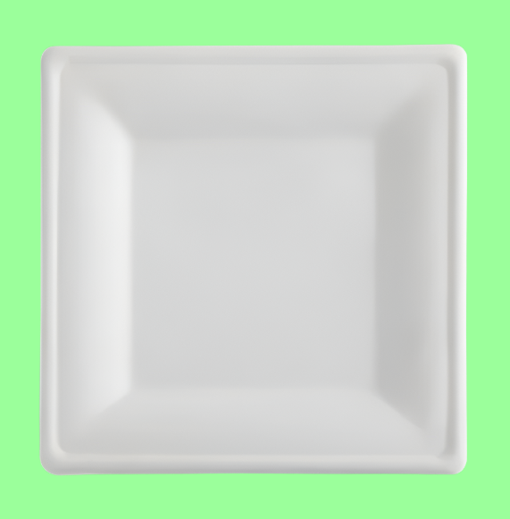 Ecox Compostable 10" x 10" Square Plate - 500/Case