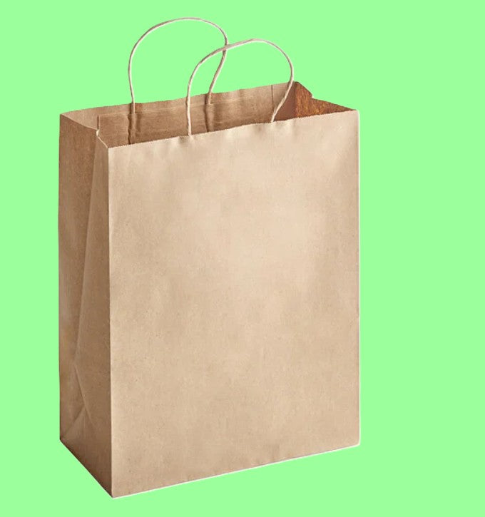 Ecox - 10" x 5" x 13" Natural Kraft Paper Shopping Bag with Handles - 250/Case