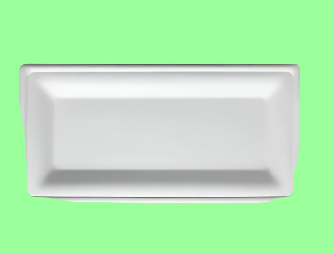 Ecox Compostable  10" x 5"  Rectangular Plate - 500/Case